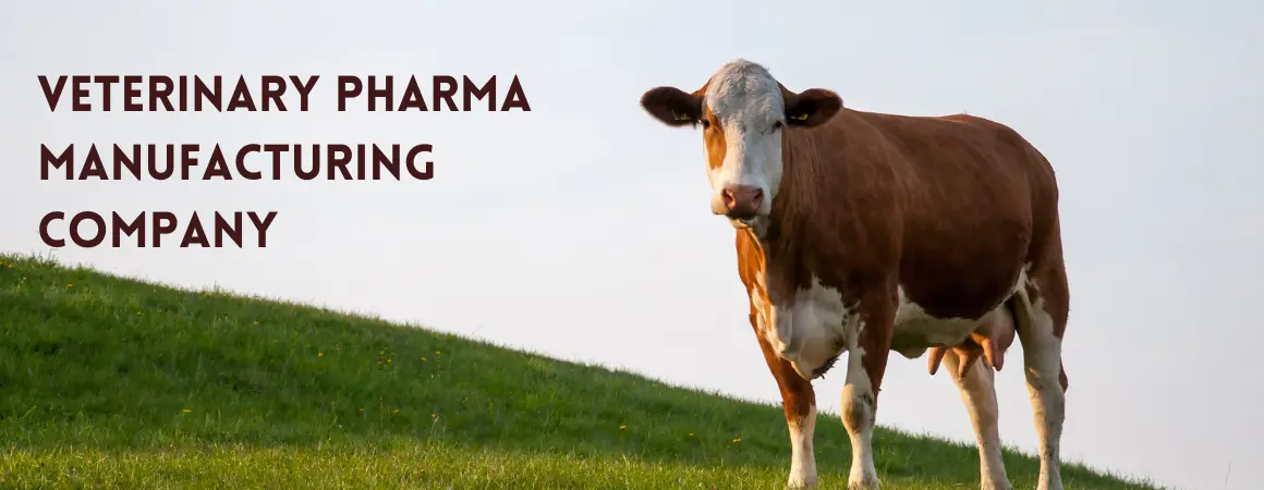 Veterinary Pharma Manufacturer