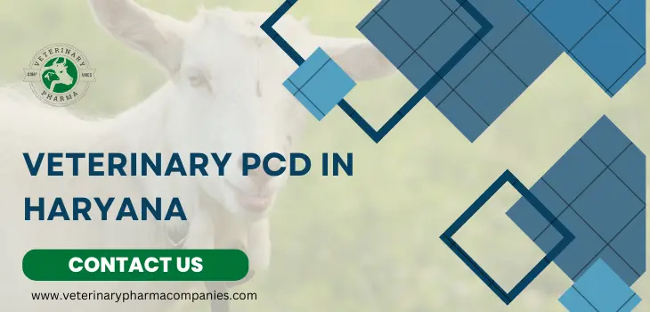 Veterinary PCD in Haryana