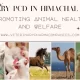 Veterinary PCD in Himachal Pradesh