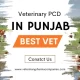 Veterinary PCD in Punjab