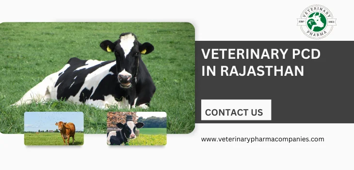 Veterinary PCD pharma in rajasthan