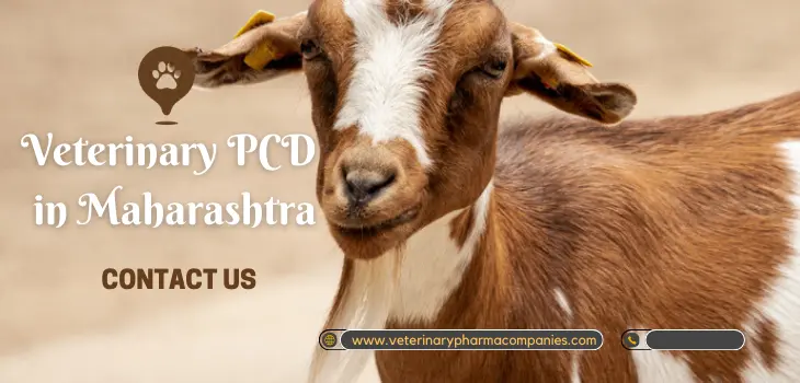 Veterinary PCD Pharma company in Maharashtra