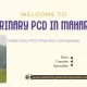 Veterinary PCD in Maharashtra