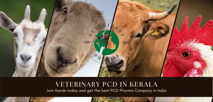 Veterinary PCD in kerala