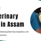 Veterinary PCD in Assam